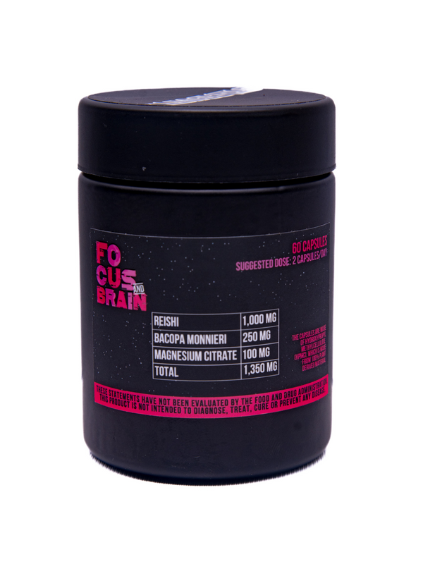 StarDust Focus & Brain alternate