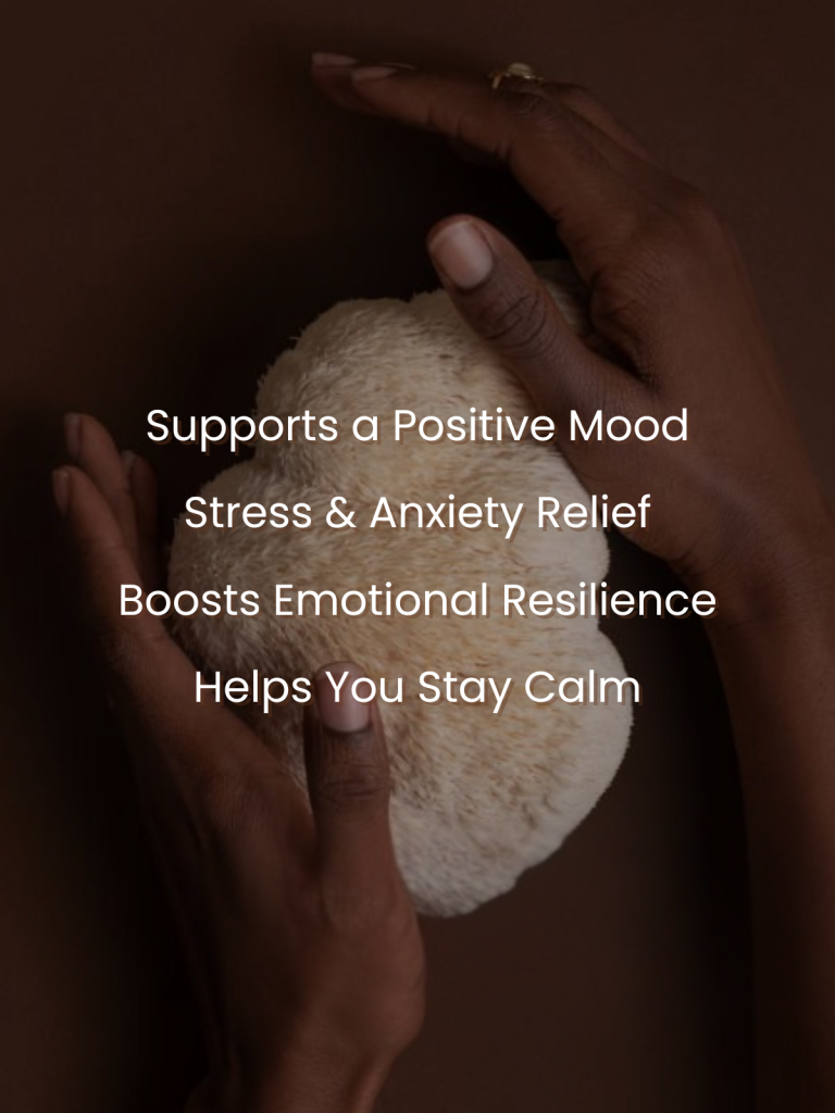 StarDust Mood Stress Relief Supplement on a banner listing its features